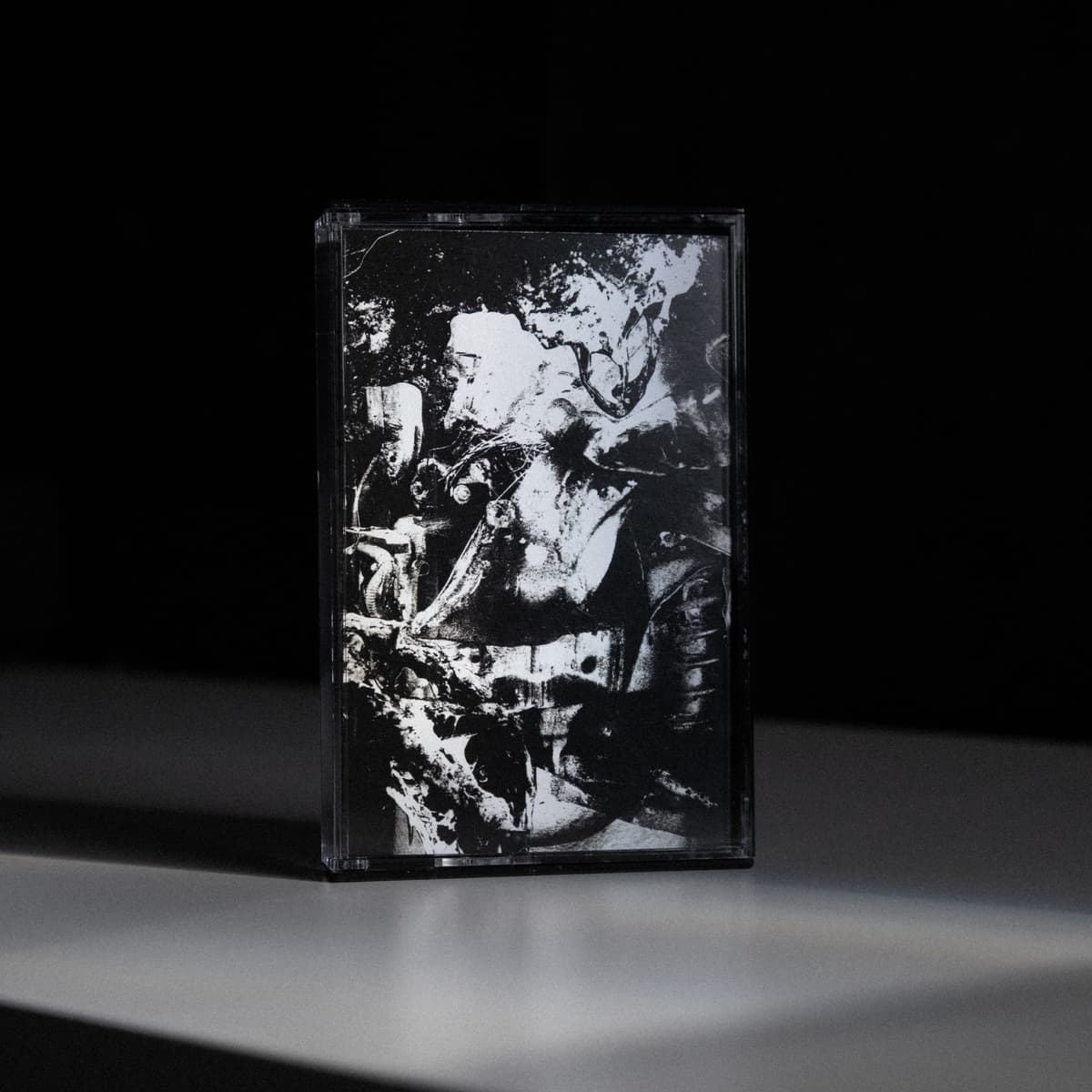 REIGNING CEMENT RE-ISSUE