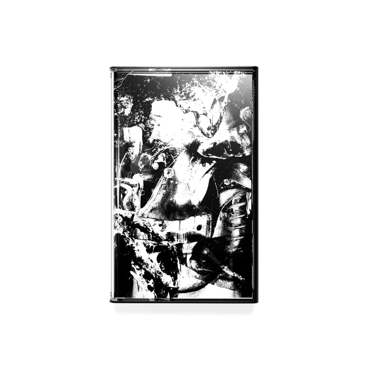 REIGNING CEMENT RE-ISSUE